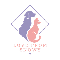 Ideias originais para surpreender qualquer cat lover.